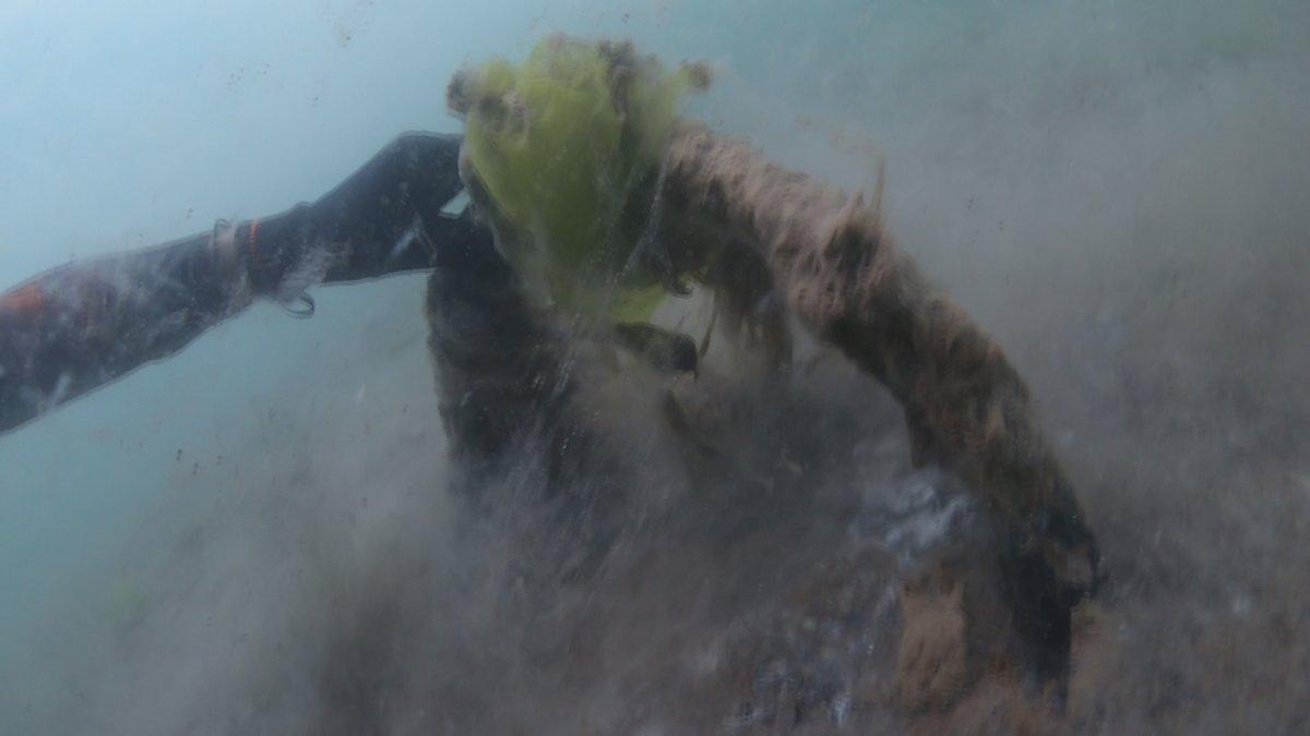 Marmara’yı deniz salyası kapladı