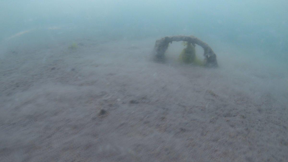 Marmara’yı deniz salyası kapladı