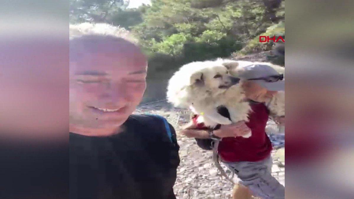 Muğla'da kurtarılan köpeği sırtında taşıdı