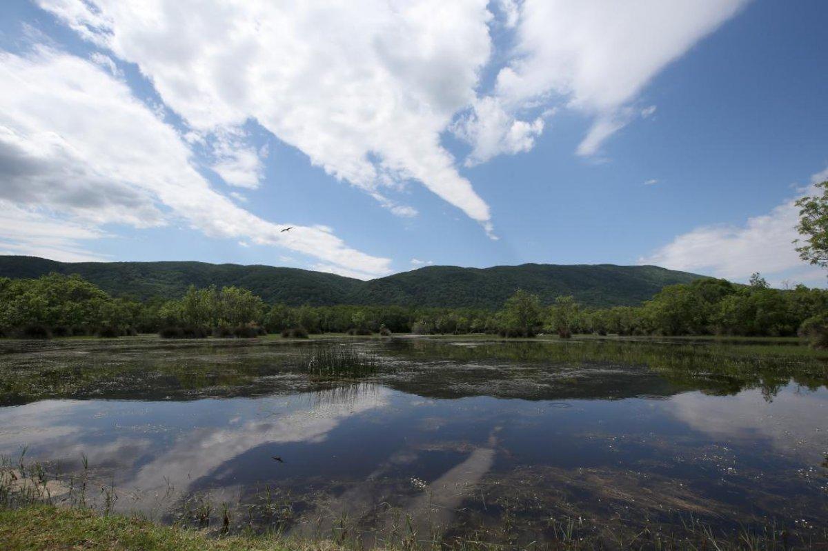 Karacabey Longozu, yemyeşil bitki örtüsüyle görenleri büyülüyor