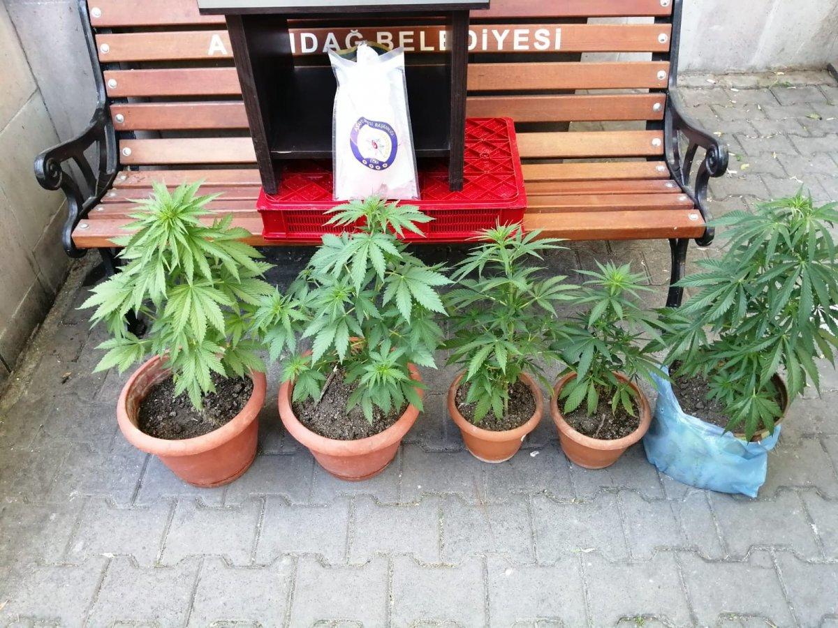 Ankara'da uyuşturucu operasyonu: 2 gözaltı