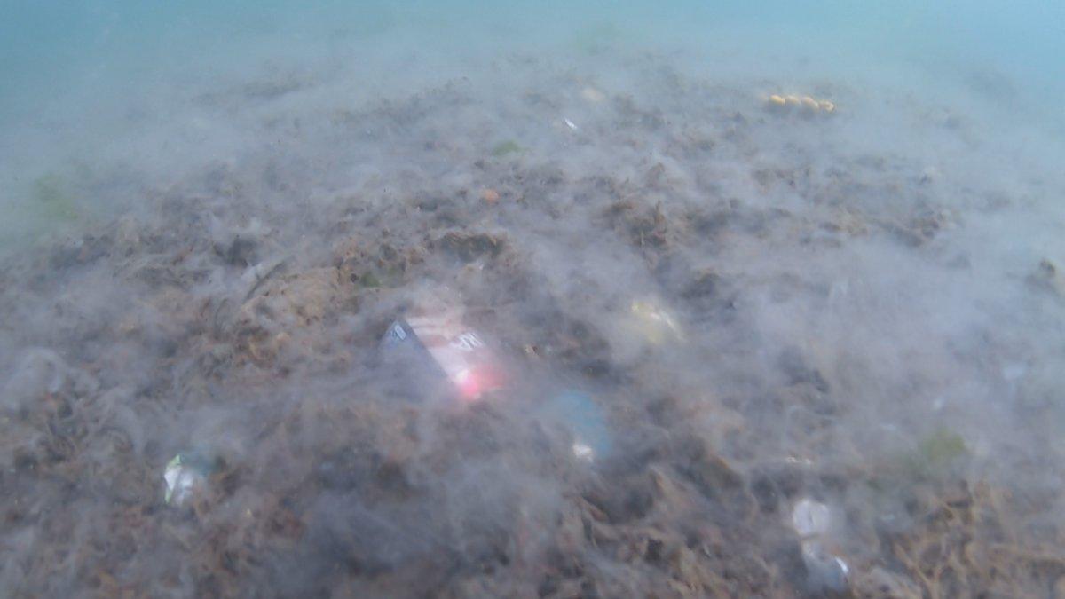 Marmara’yı deniz salyası kapladı