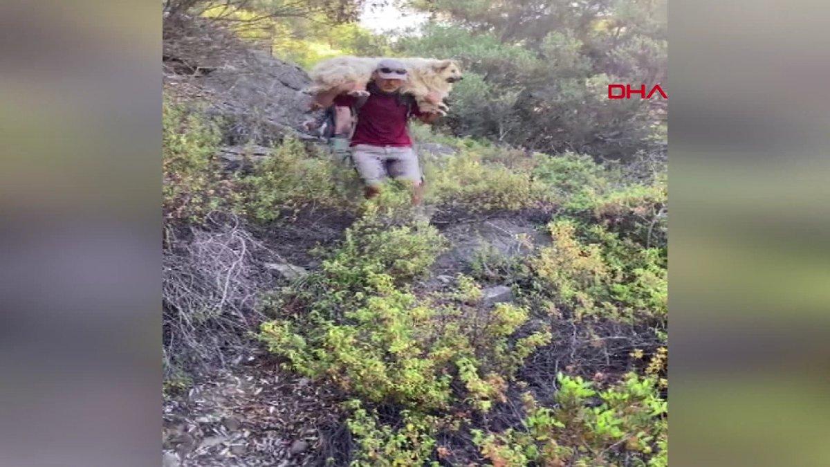 Muğla'da kurtarılan köpeği sırtında taşıdı