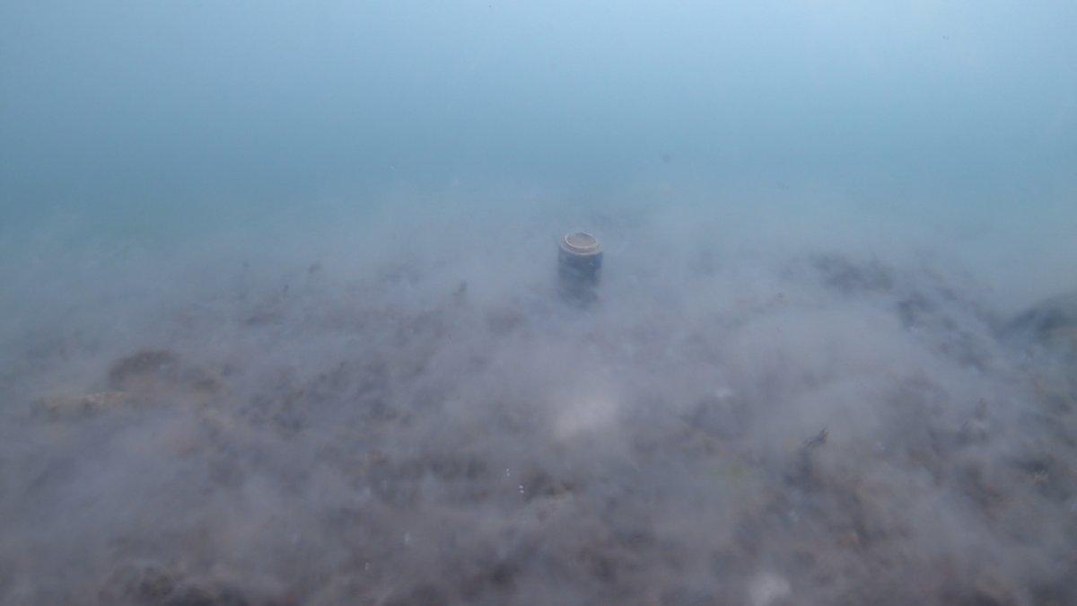 Marmara’yı deniz salyası kapladı