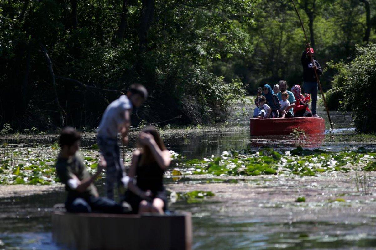 Karacabey Longozu, yemyeşil bitki örtüsüyle görenleri büyülüyor