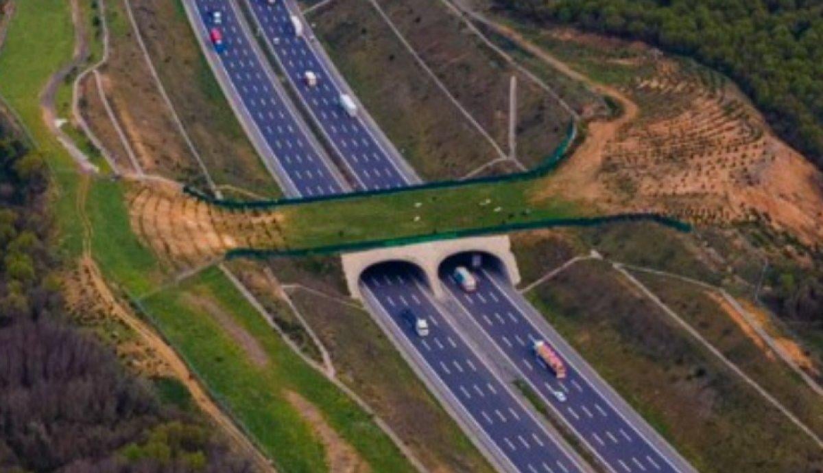 Kuzey Marmara Otoyolu tamamlandı