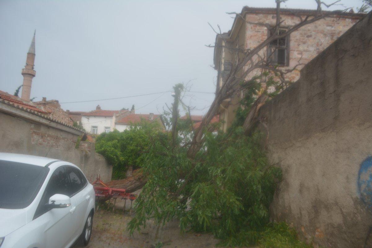 Ayvalık'ta şiddetli fırtına