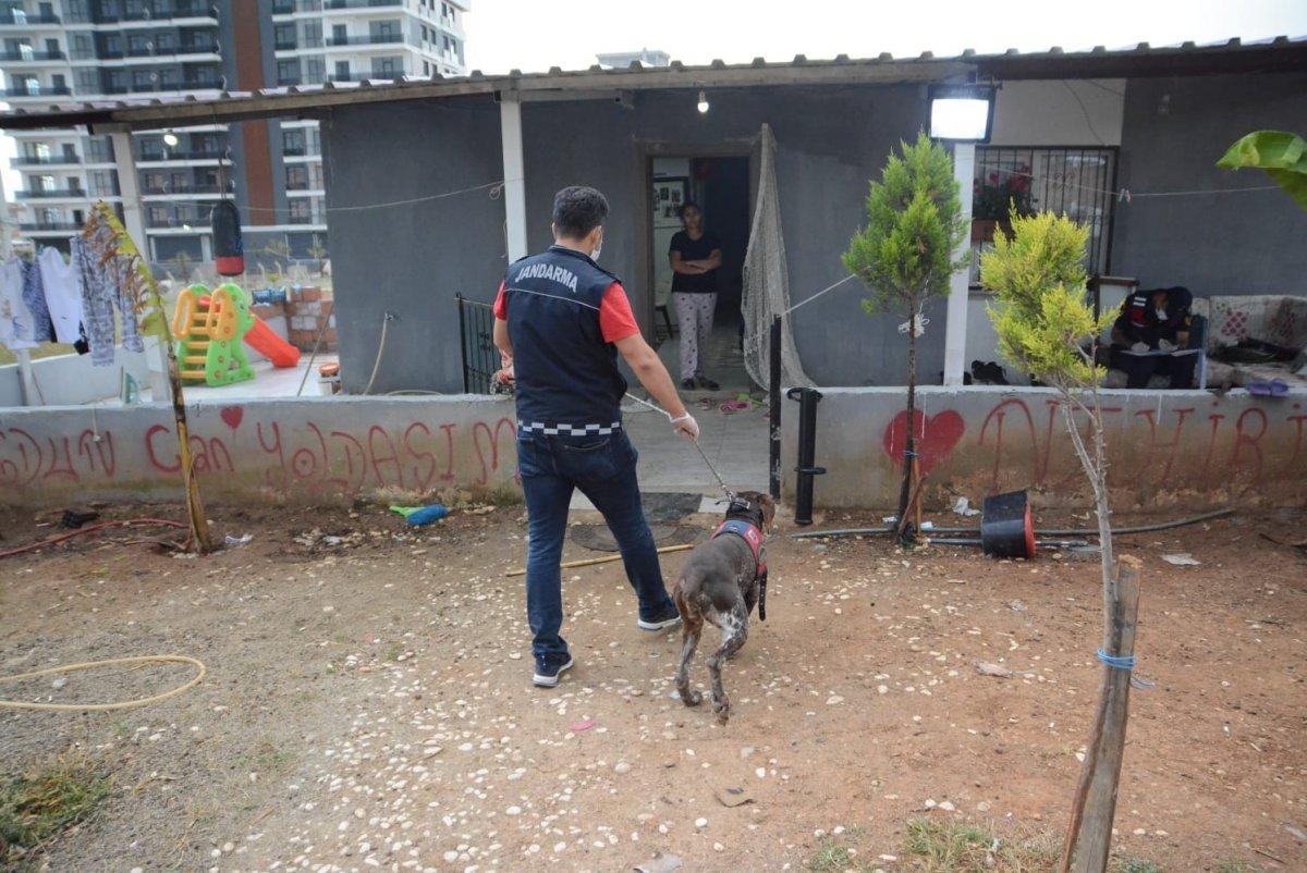 İzmir’de suç örgütü operasyonu: 14 gözaltı