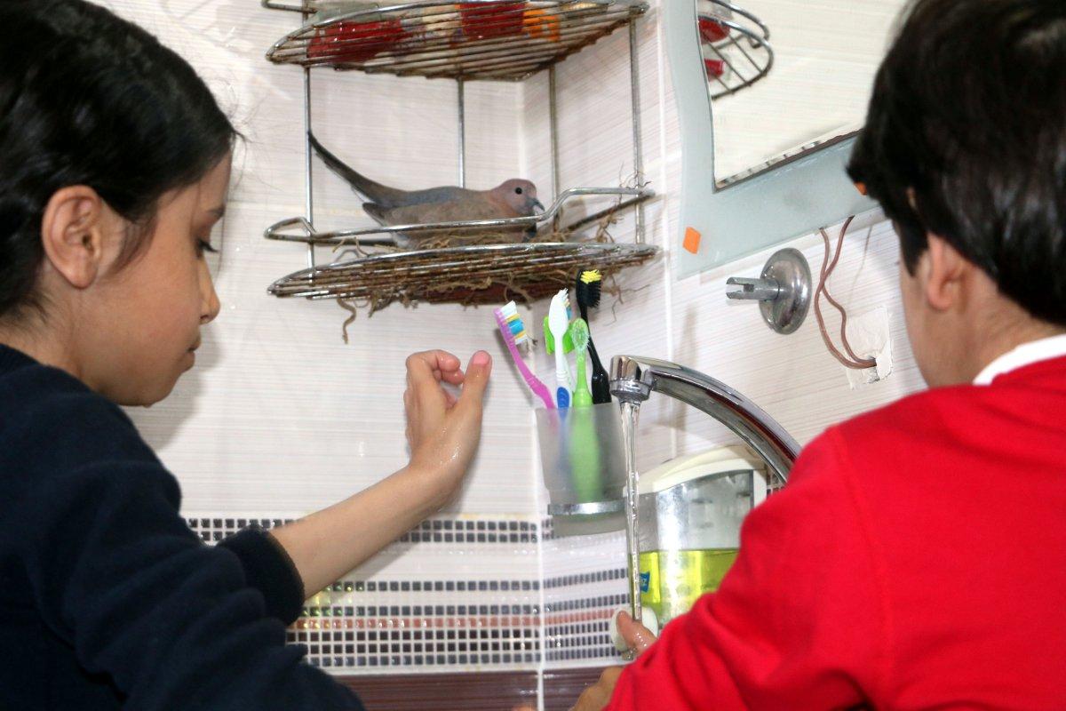 Hakkari'de, 6 kişilik aile banyosunu kumrularla paylaşıyor