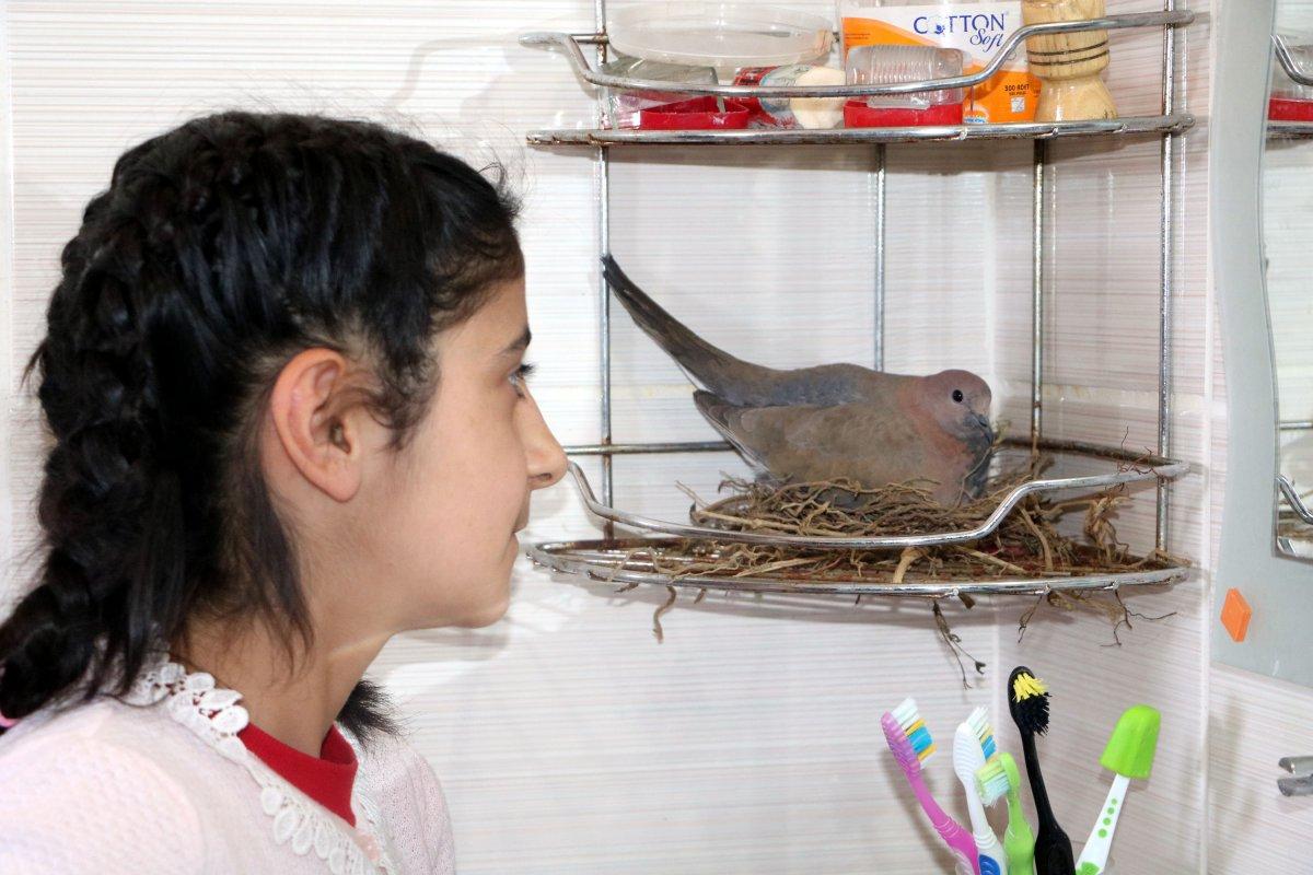 Hakkari'de, 6 kişilik aile banyosunu kumrularla paylaşıyor