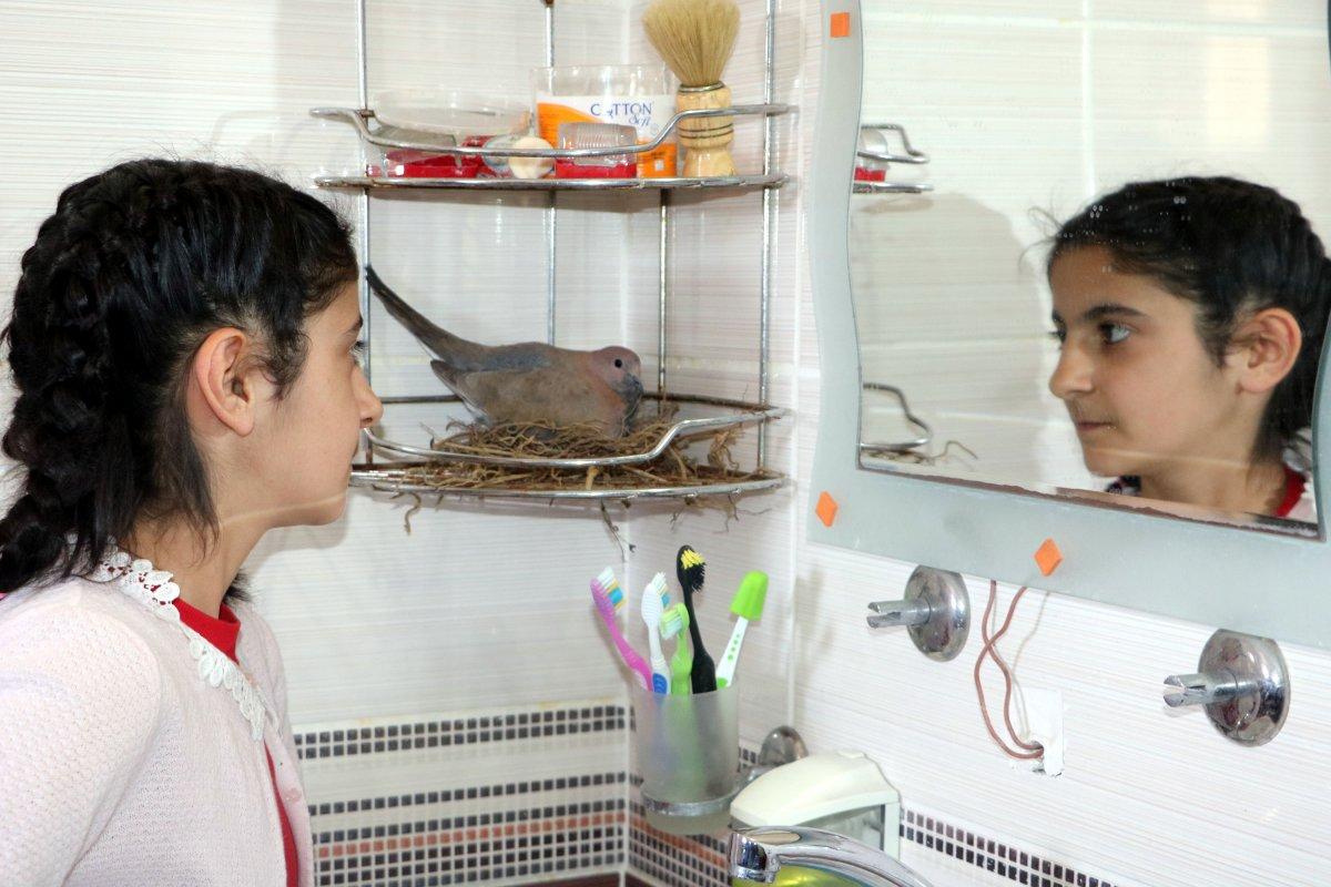 Hakkari'de, 6 kişilik aile banyosunu kumrularla paylaşıyor