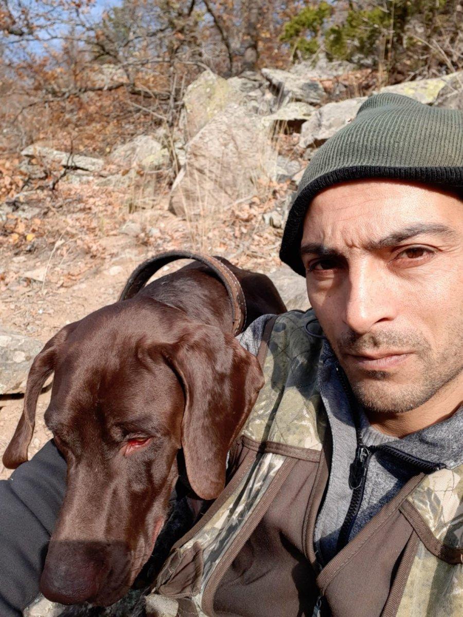 Artvin'de ayı saldırısına uğrayan adamı, köpeği kurtardı