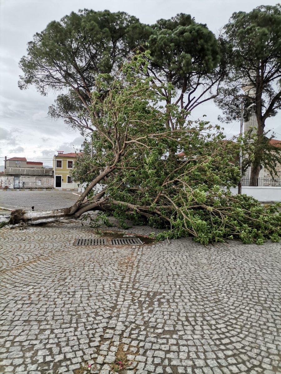 Ayvalık'ta şiddetli fırtına