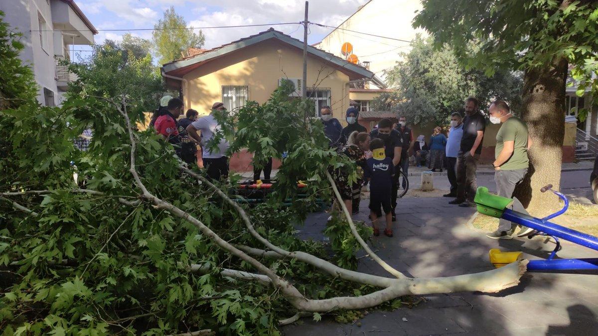 Denizli'de üzerine ağaç devrilen çocuk iğneden korktuğu için ambulansa binmedi