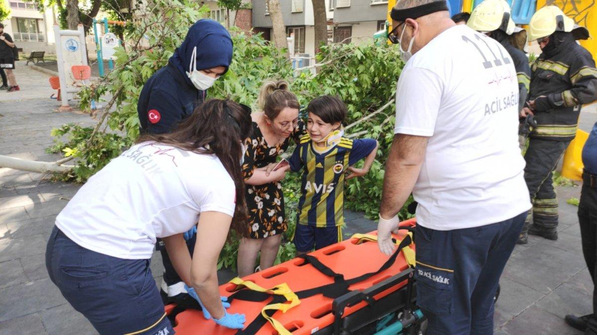 Denizli'de üzerine ağaç devrilen çocuk iğneden korktuğu için ambulansa binmedi