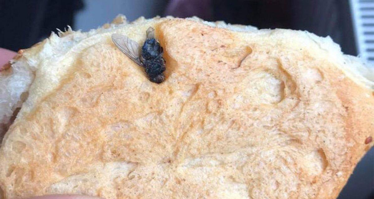 Tekirdağ'da ekmekten sinek çıktı