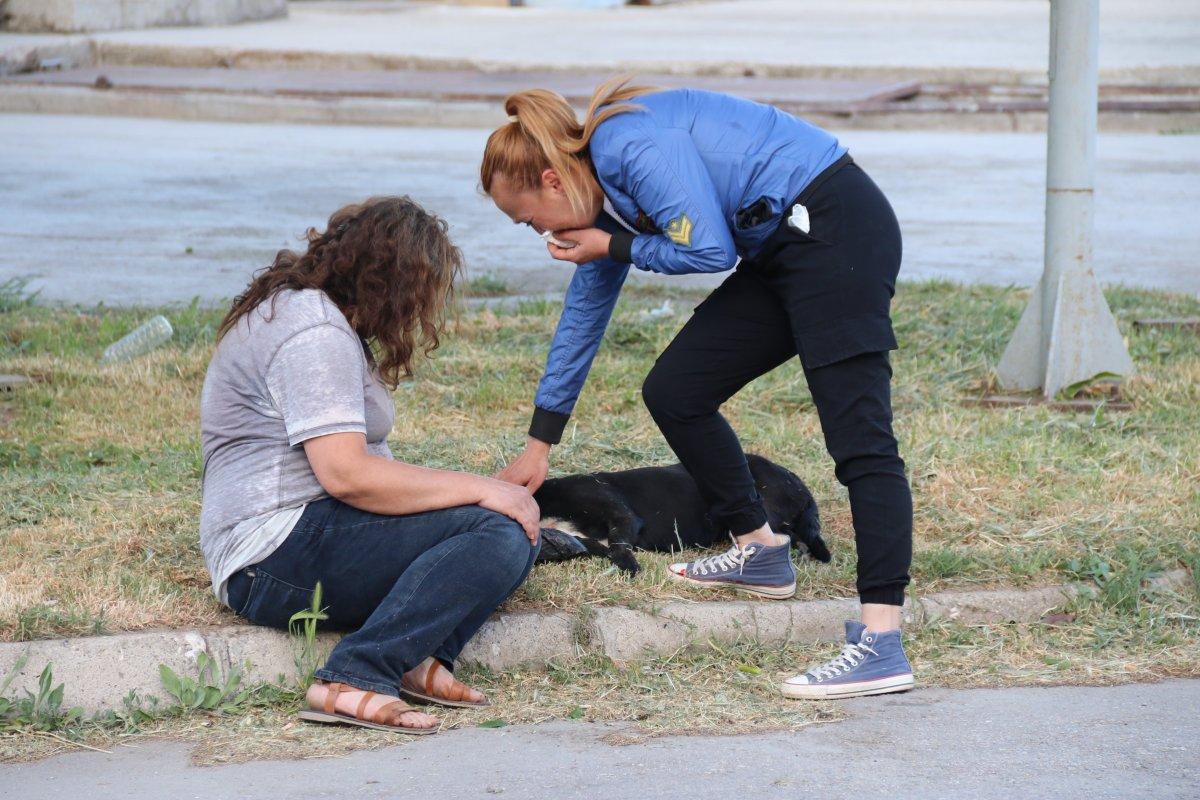 Eskişehir’de sürücü engelli köpeği ezdi