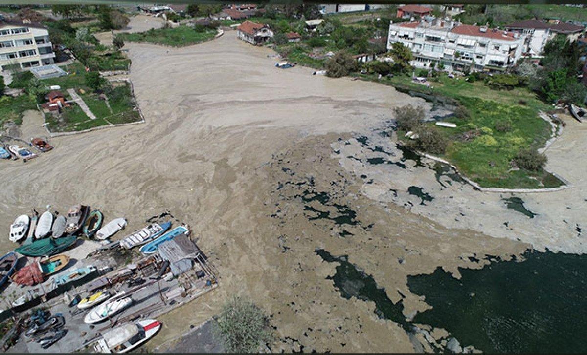 Marmara Denizi'ndeki deniz salyaları, neredeyse tüm yüzeyi kapladı