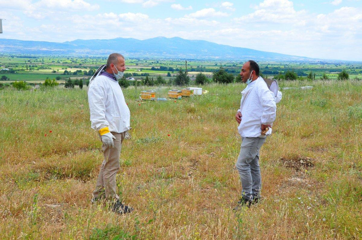 Manisa'da kovanlar, içindeki arılarla birlikte çalındı