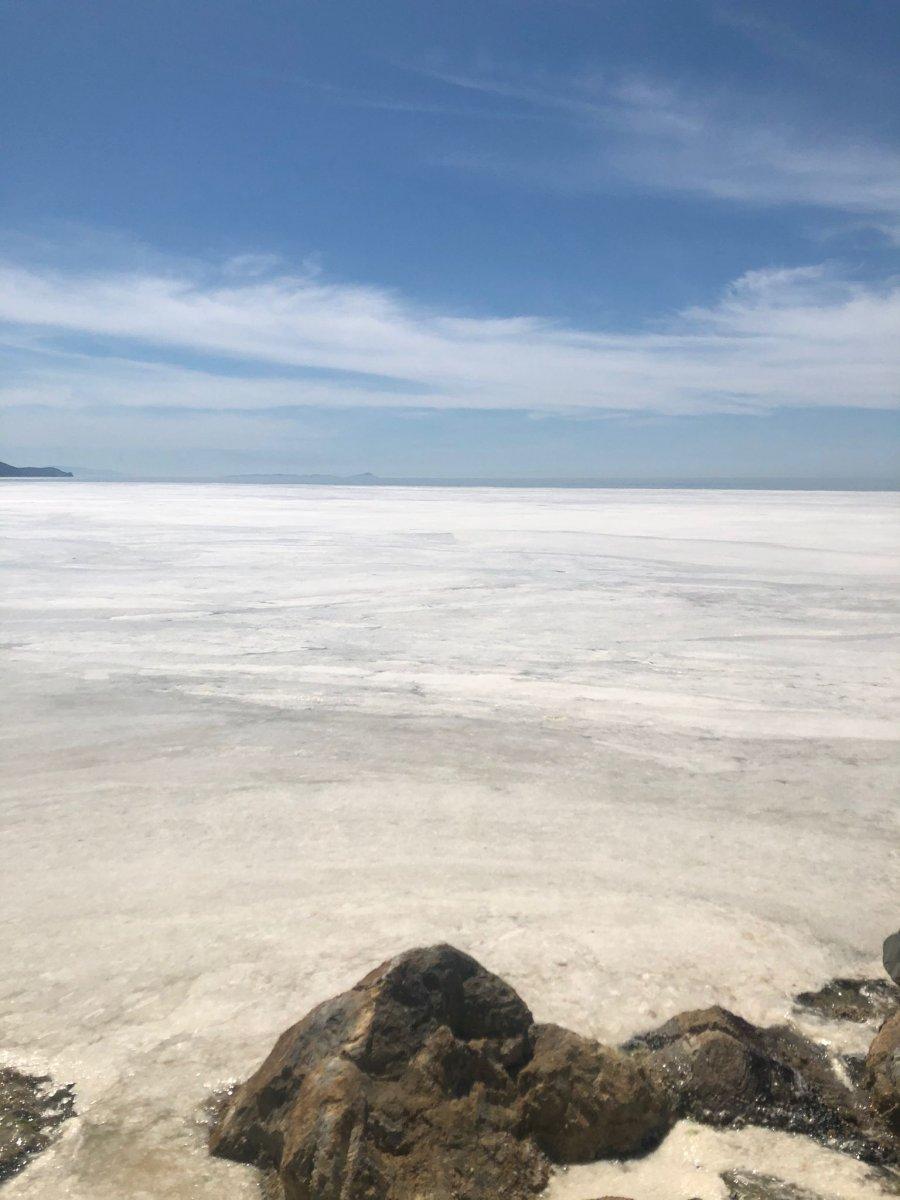 Marmara Denizi'ndeki deniz salyaları, neredeyse tüm yüzeyi kapladı