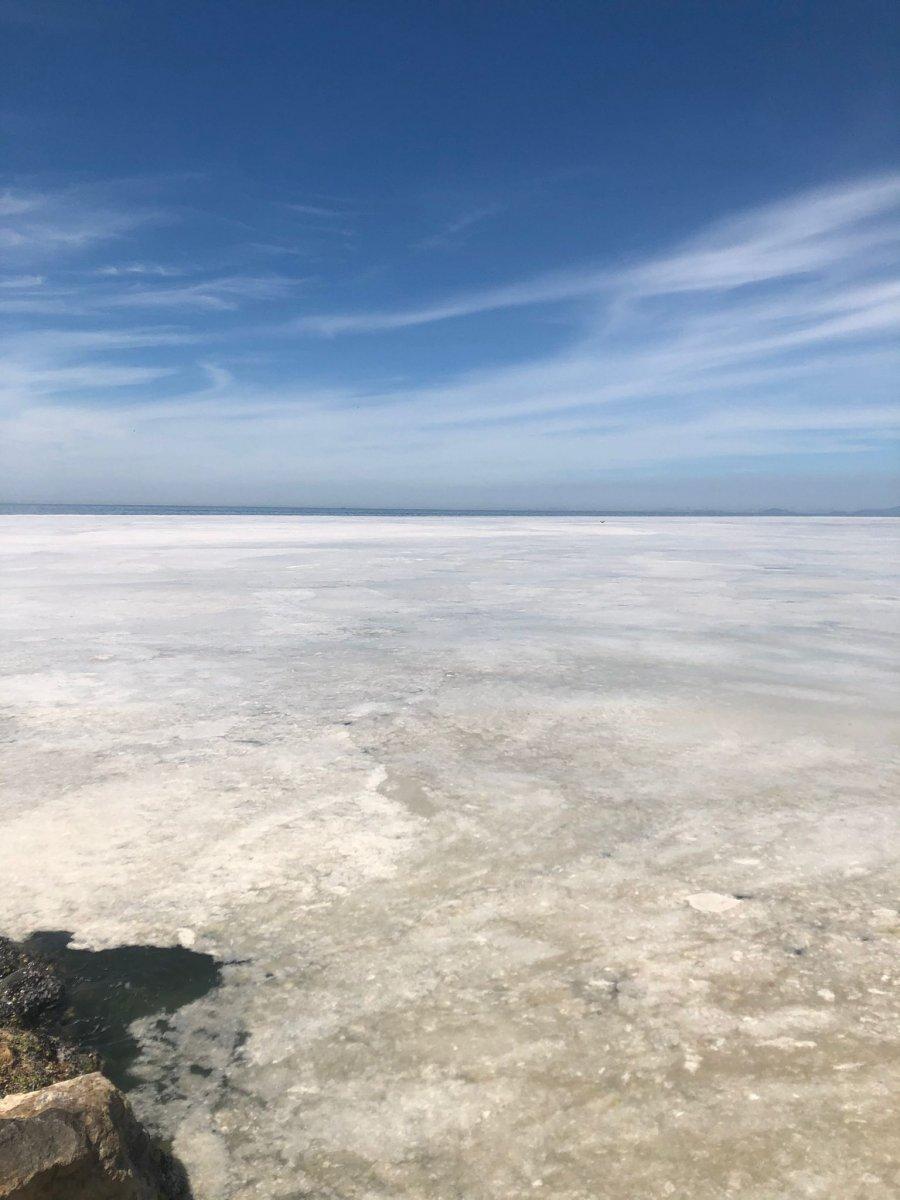 Marmara Denizi'ndeki deniz salyaları, neredeyse tüm yüzeyi kapladı