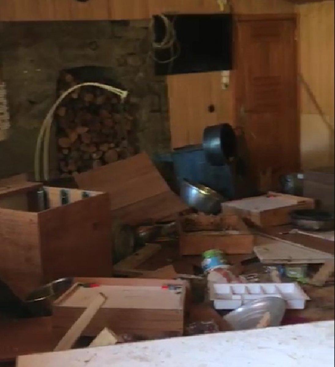 Rize’de aç kalan ayı evin altını üstüne getirdi