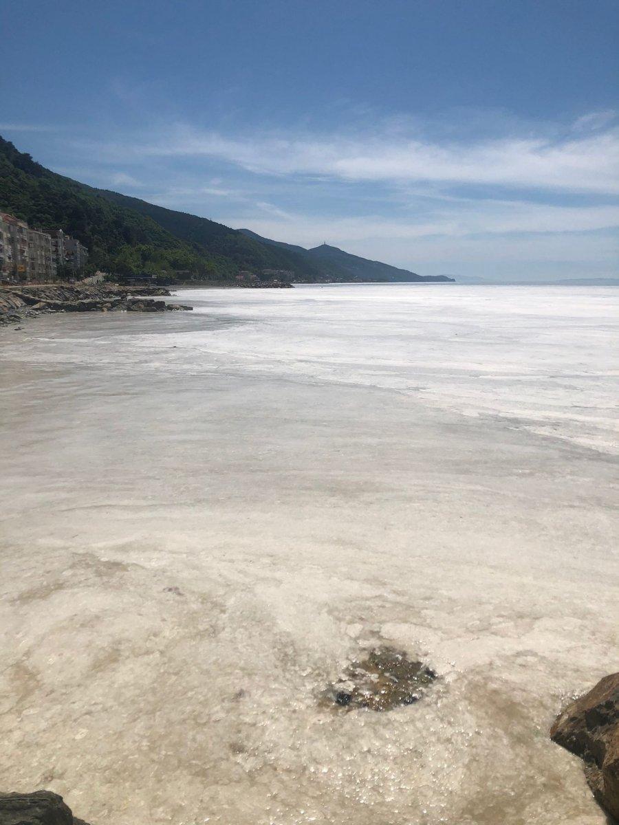 Marmara Denizi'ndeki deniz salyaları, neredeyse tüm yüzeyi kapladı