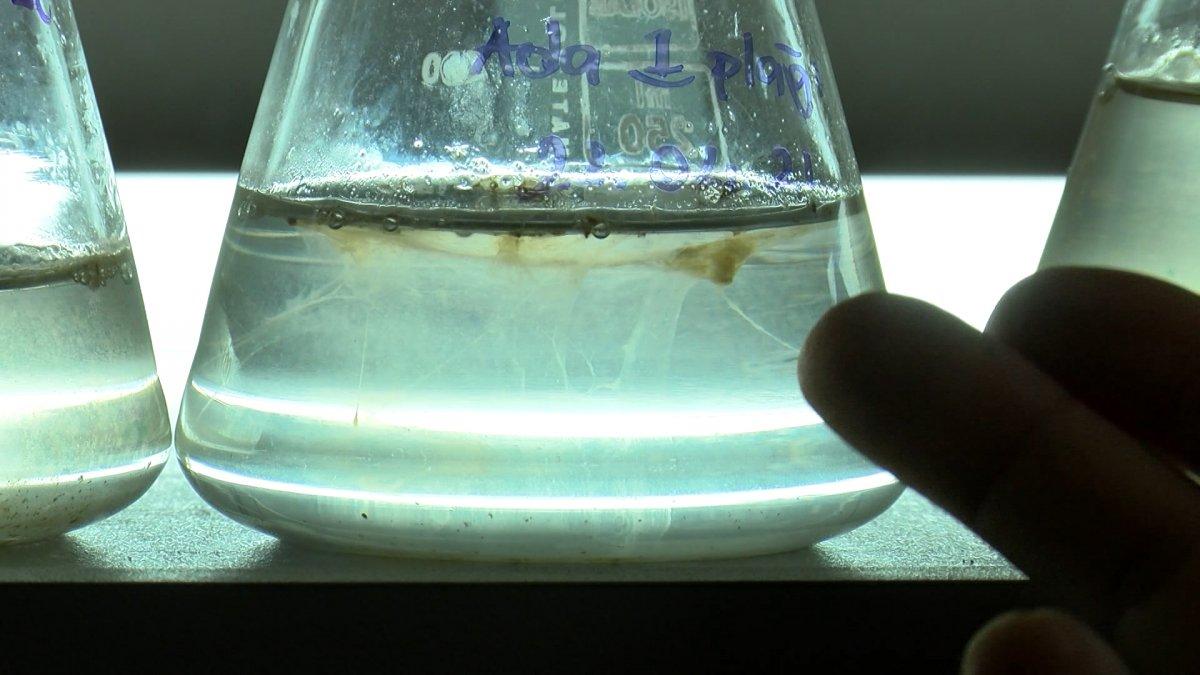 Marmara Denizi'ndeki deniz salyaları, neredeyse tüm yüzeyi kapladı