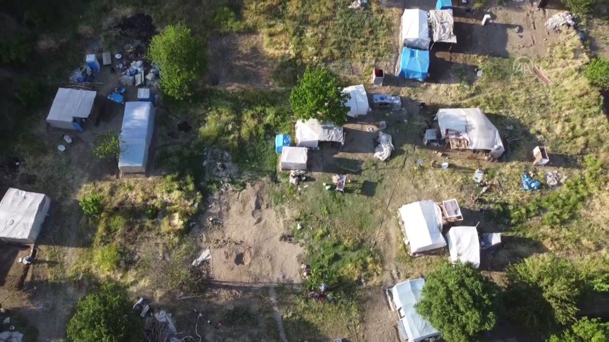 Tarım işçileri koronavirüs aşılarını tarlalarında oluyor