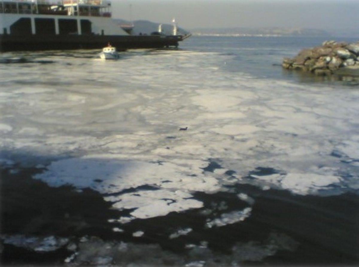 Marmara Denizi'ndeki deniz salyaları, neredeyse tüm yüzeyi kapladı