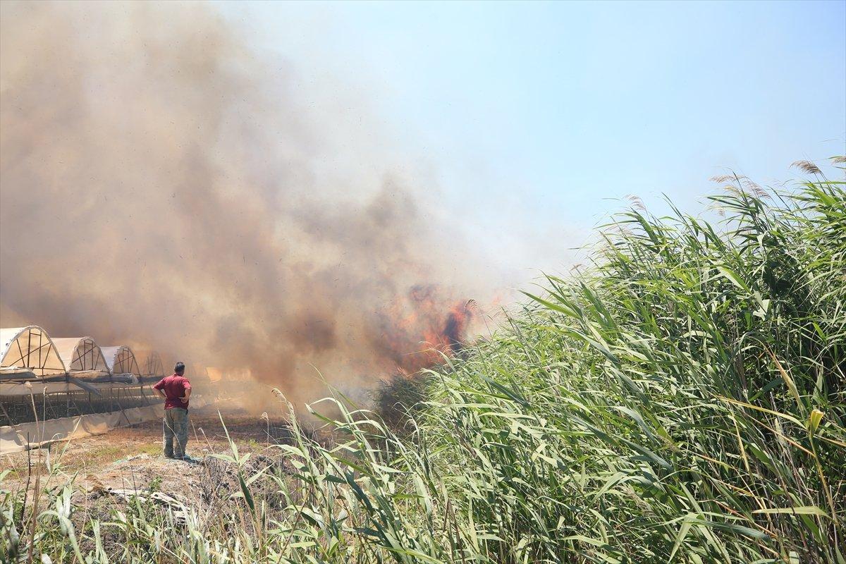 Antalya'da çıkan yangın, kontrol altına alındı
