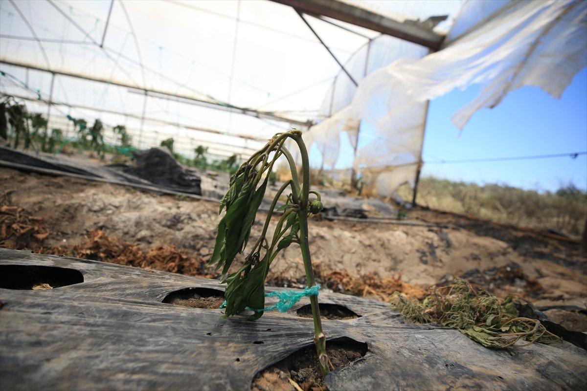 Antalya'da çıkan yangın, kontrol altına alındı