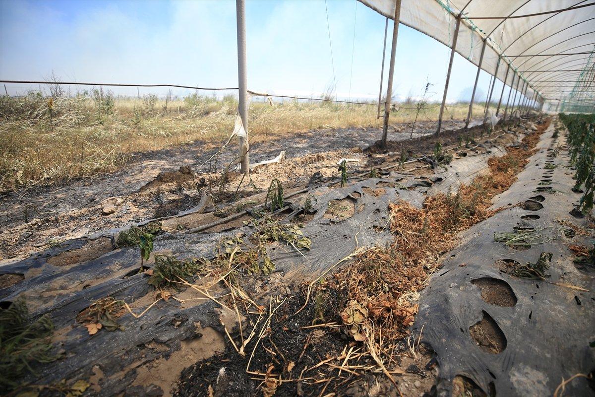 Antalya'da çıkan yangın, kontrol altına alındı