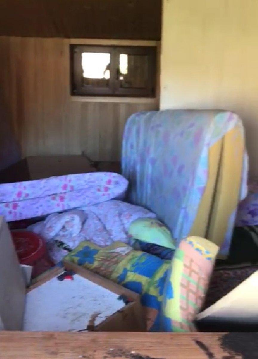 Rize’de aç kalan ayı evin altını üstüne getirdi