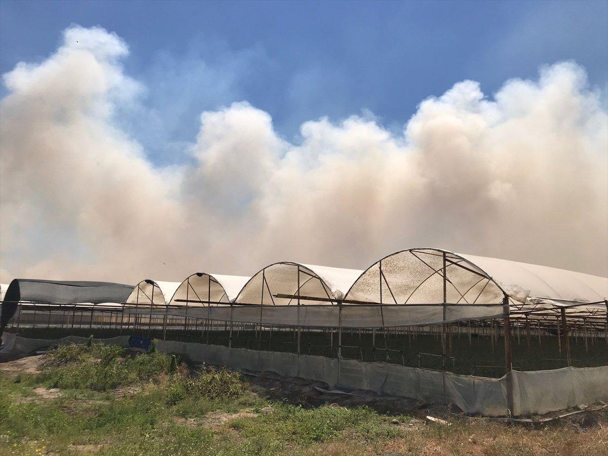 Antalya'da çıkan yangın, kontrol altına alındı