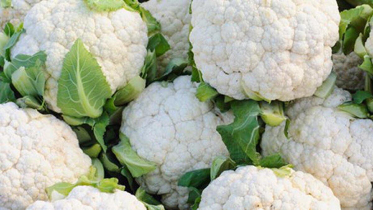 Susuzluğunuzu gidermek için en iyi 10 besin