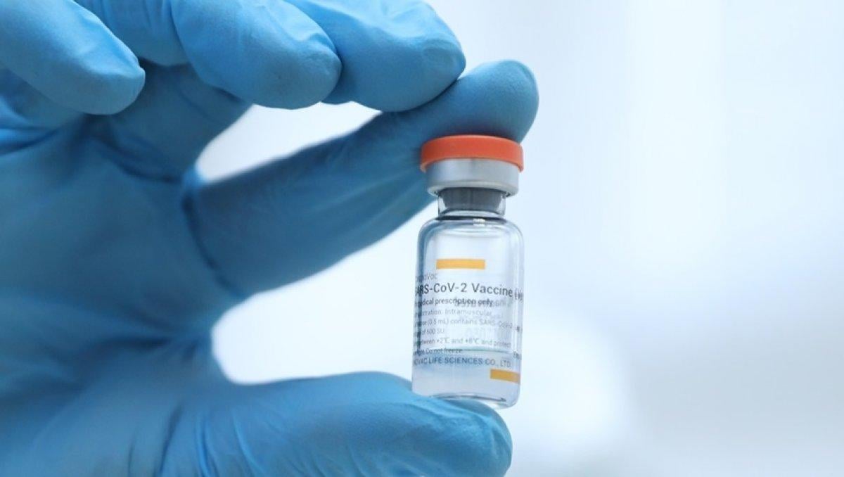 Aşılar nasıl çalışır ve neden aşılara ihtiyaç duyarız?