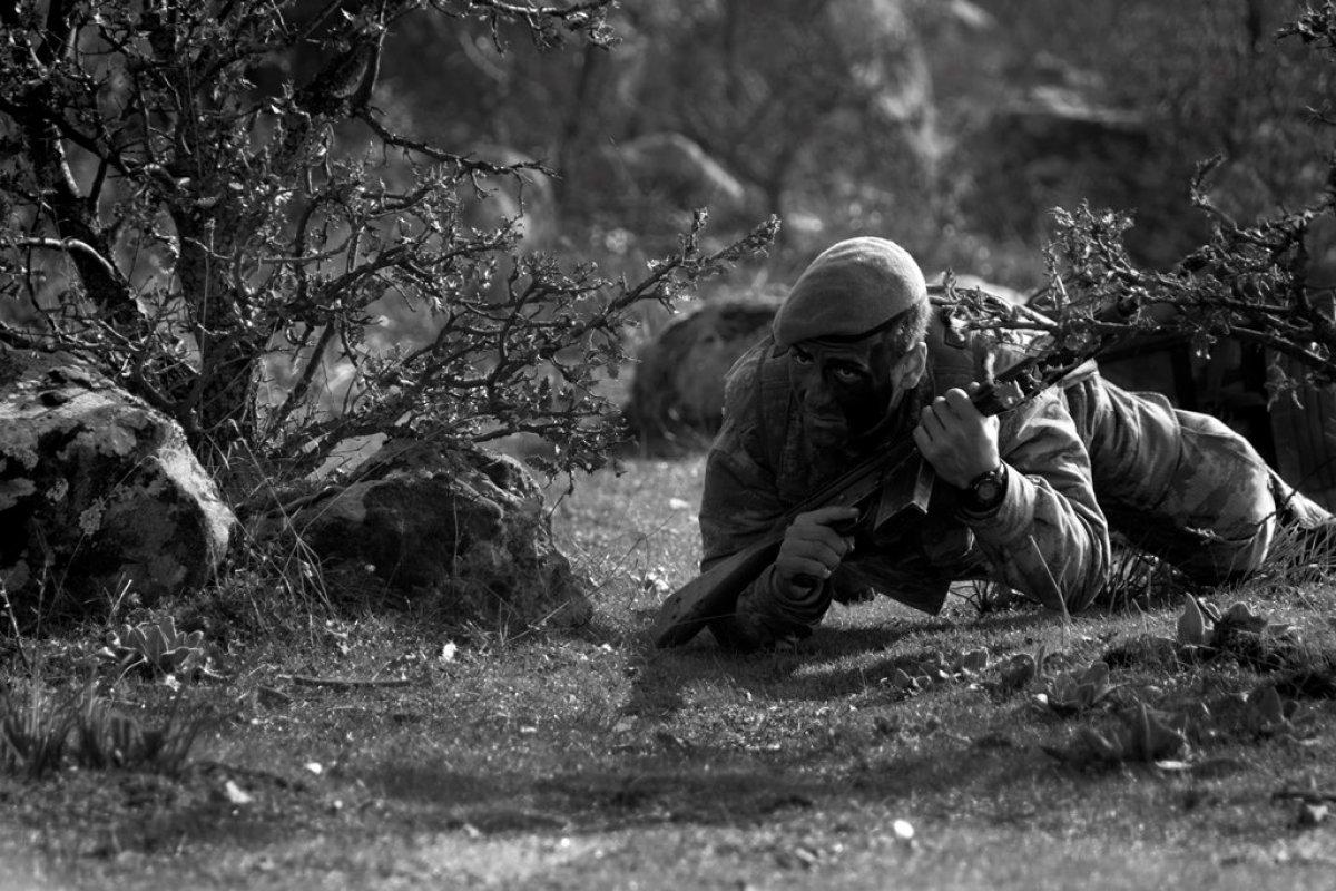 Şırnak-Cudi Dağı'nda 2 terörist öldürüldü