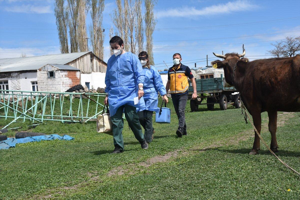 Türkiye'de uygulanan aşı miktarı 27 milyon 860 bin 302 oldu