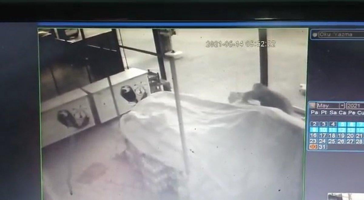 Samsun’da silahlı kavganın ardından, bir iş yerinin kasası çalındı