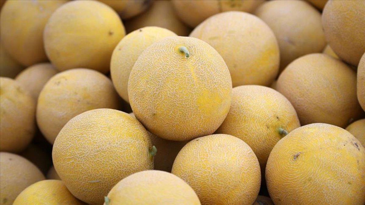 Susuzluğunuzu gidermek için en iyi 10 besin