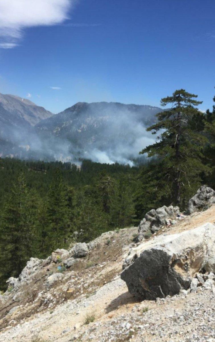 Alanya’da orman yangını: 10 dönüm alan zarar gördü