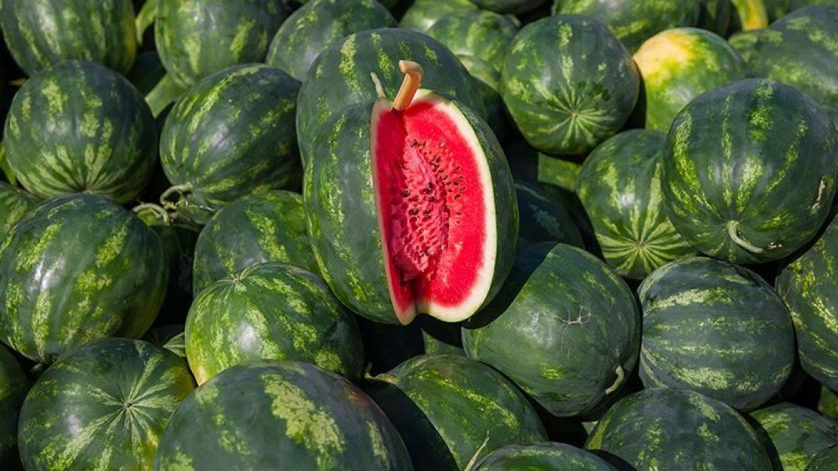 Susuzluğunuzu gidermek için en iyi 10 besin