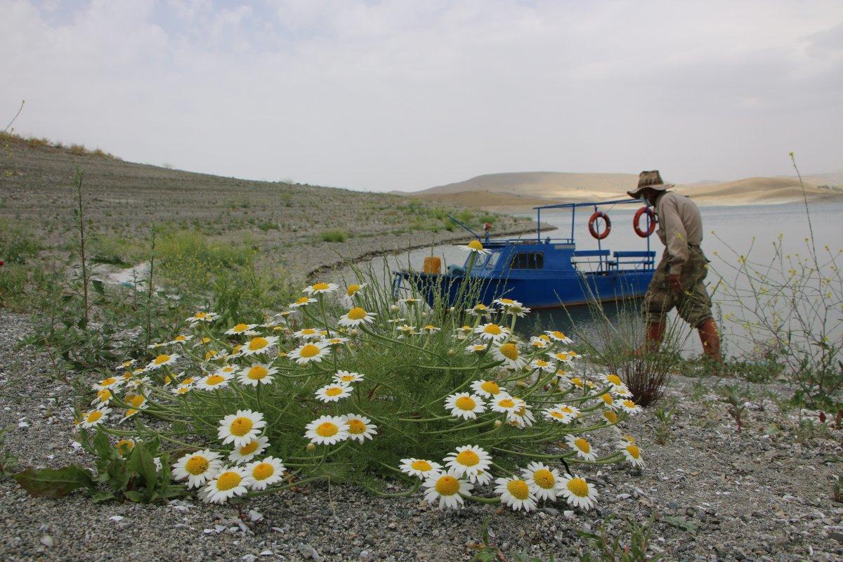 Tunceli'de Robinson Dede adasına kavuştu