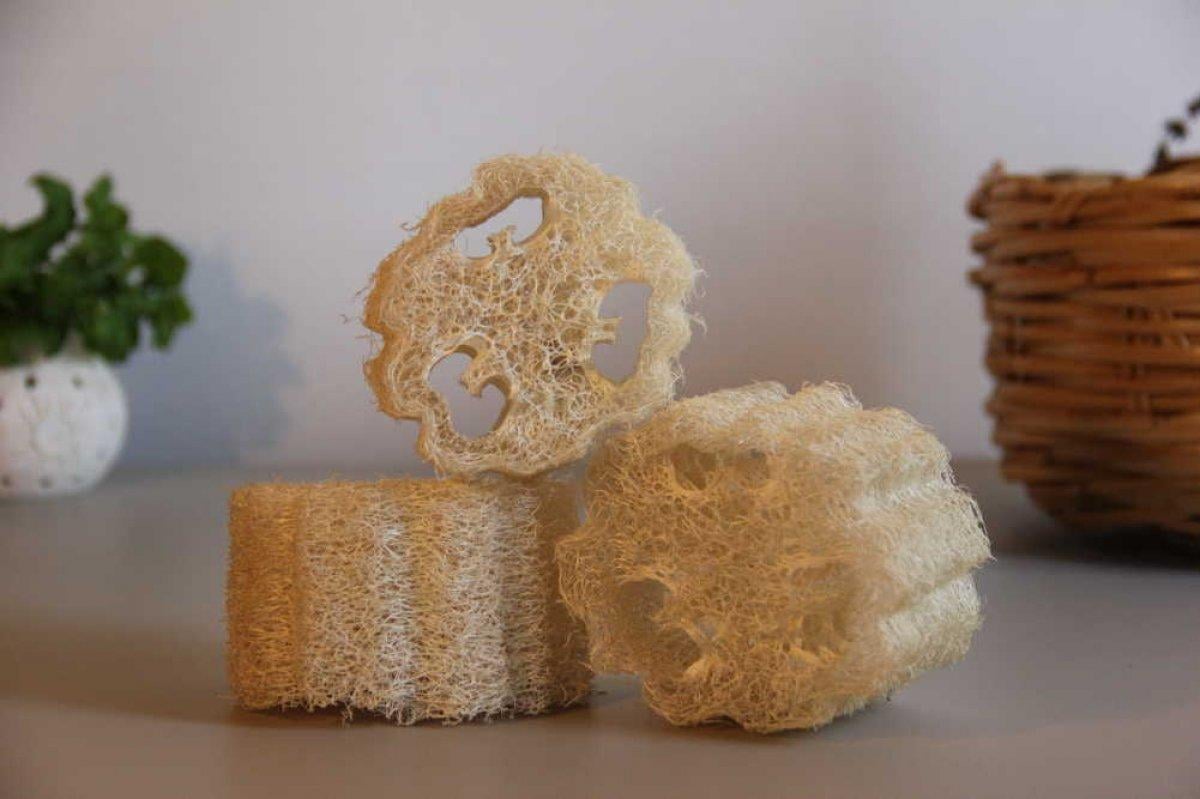 Doğal banyo kesesi: Kabak lifi nedir, nasıl kullanılır?
