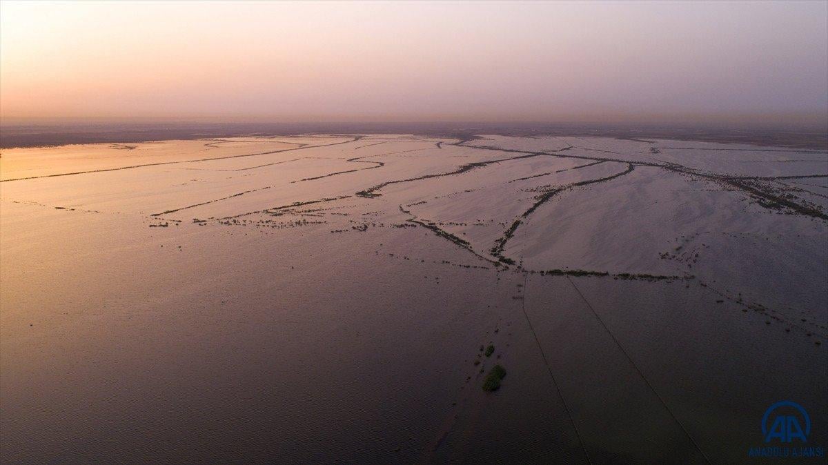 Çöldeki mucize: Necef Denizi