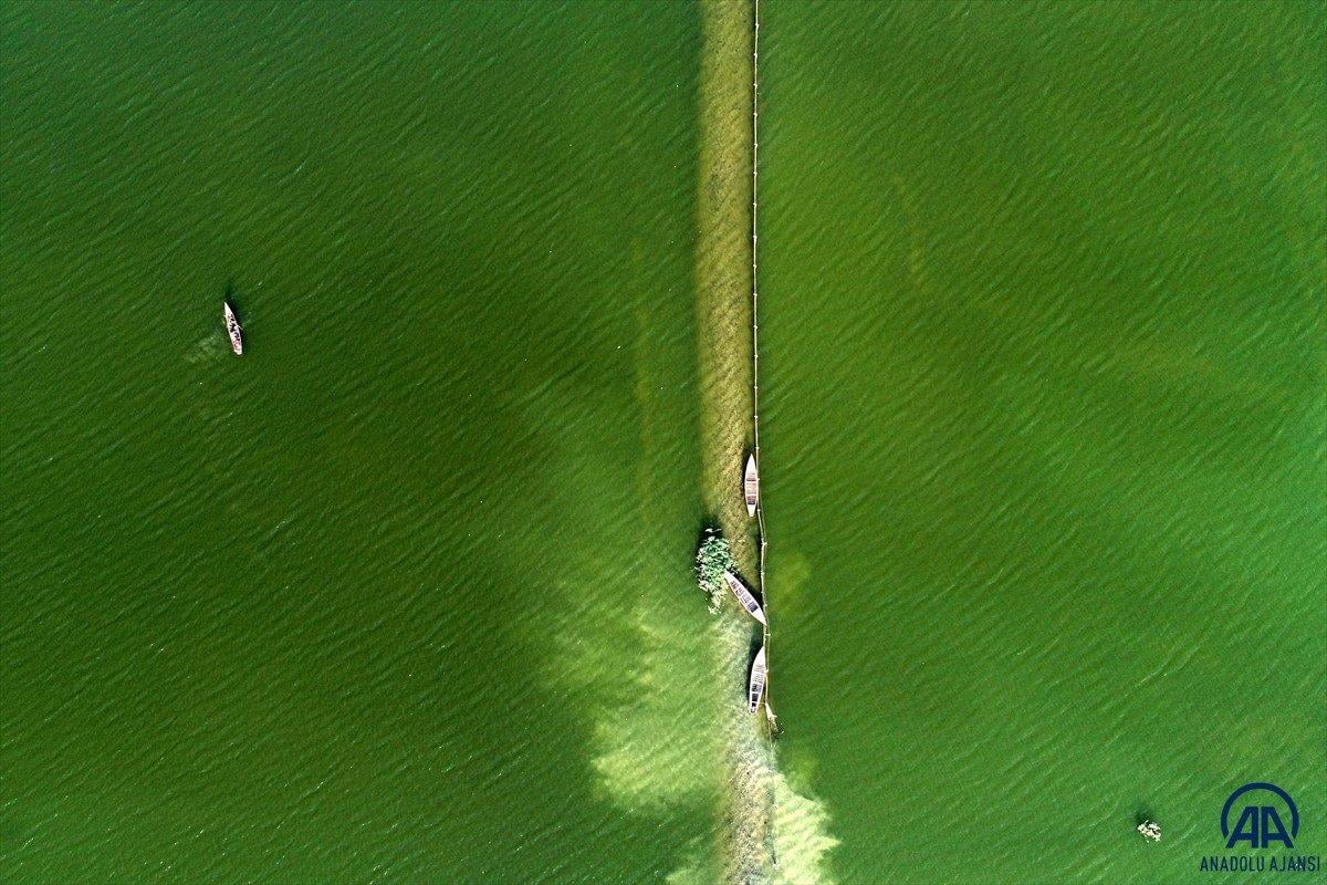 Çöldeki mucize: Necef Denizi