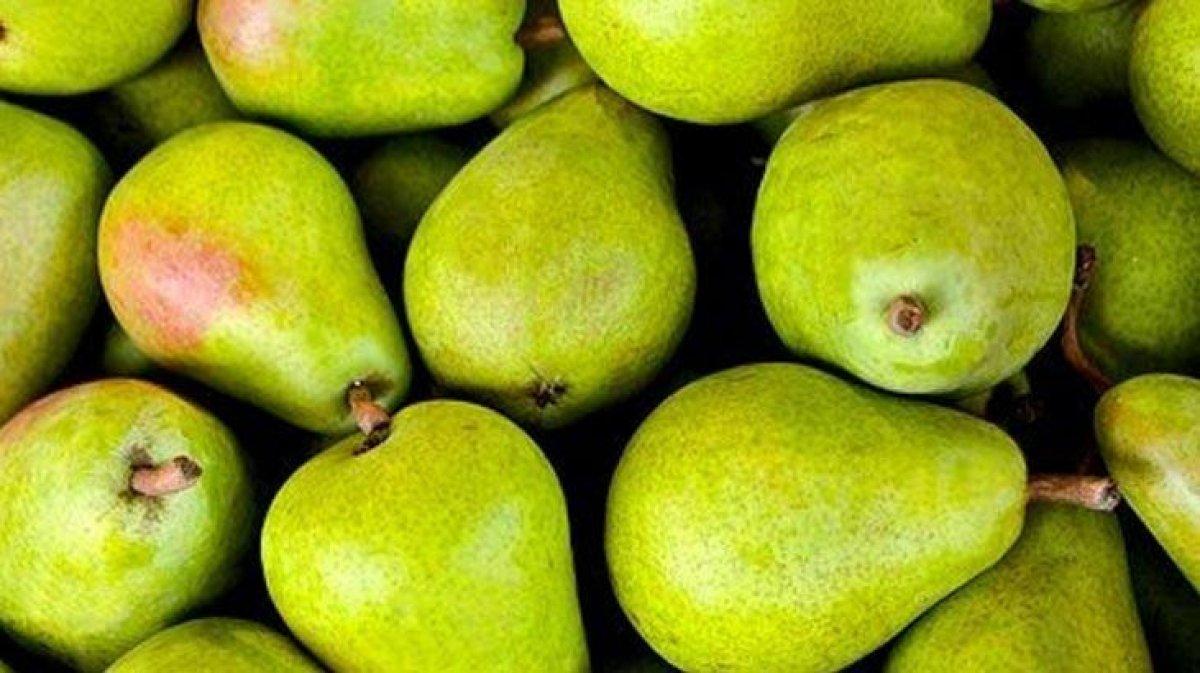 Yapay tatlandırıcılar bağırsak sağlığını bozabilir