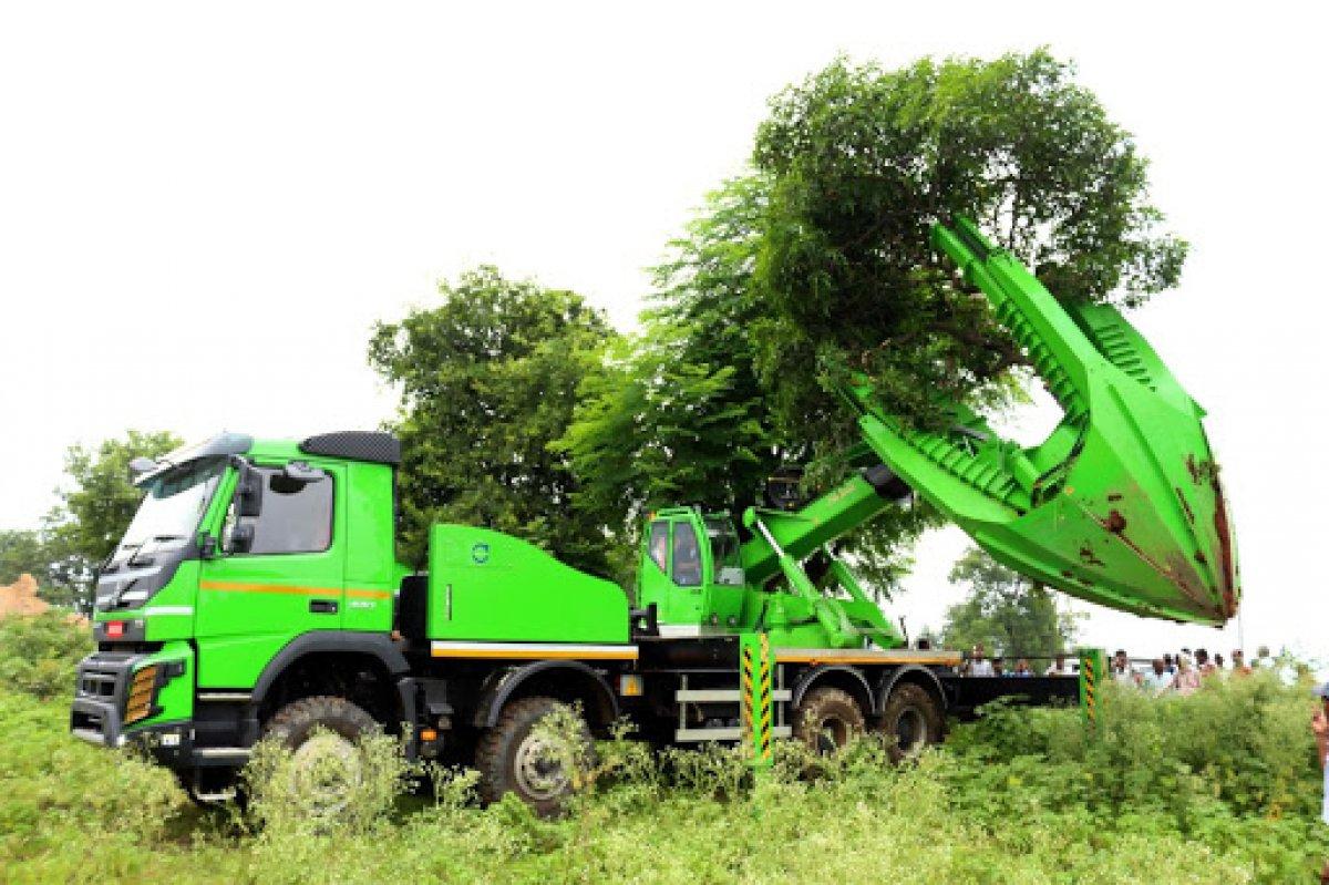 CHP'li Beylikdüzü Belediyesi ağaç katliamı yaptı