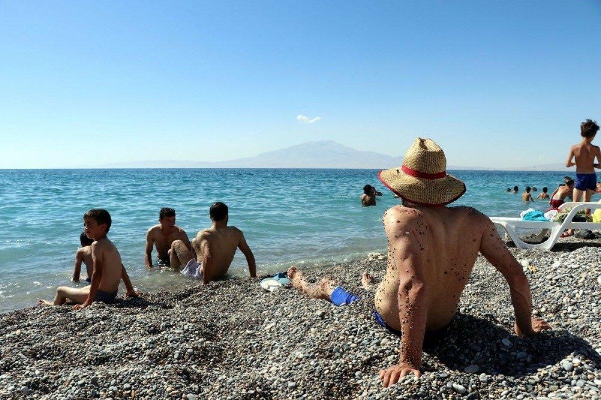 Van’ın mavi bayraklı plajı